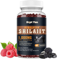 Himalayan Shilajit Gummies — 1000mg, Raspberry, 60ct