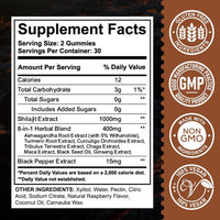Himalayan Shilajit Gummies — 1000mg, Raspberry, 60ct