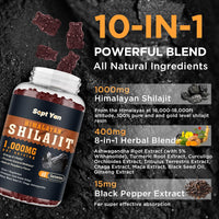 Himalayan Shilajit Gummies — 1000mg, Raspberry, 60ct