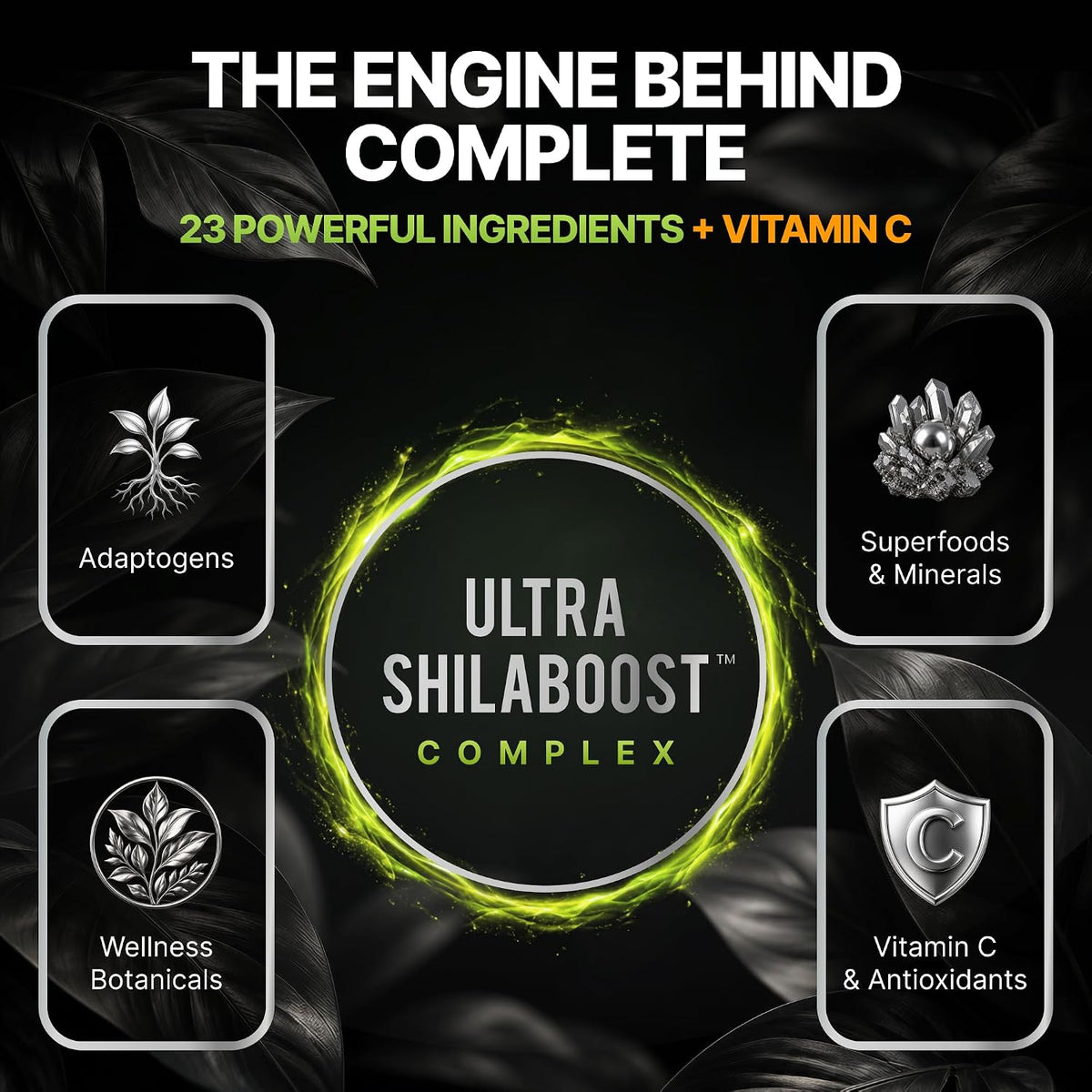 Himalayan Shilajit Gummies, 23-In-1 with Sea Moss, Ashwagandha, Tongkat Ali, Black Seed Oil & Rhodiola Rosea, Lab Tested, 60 Gummies