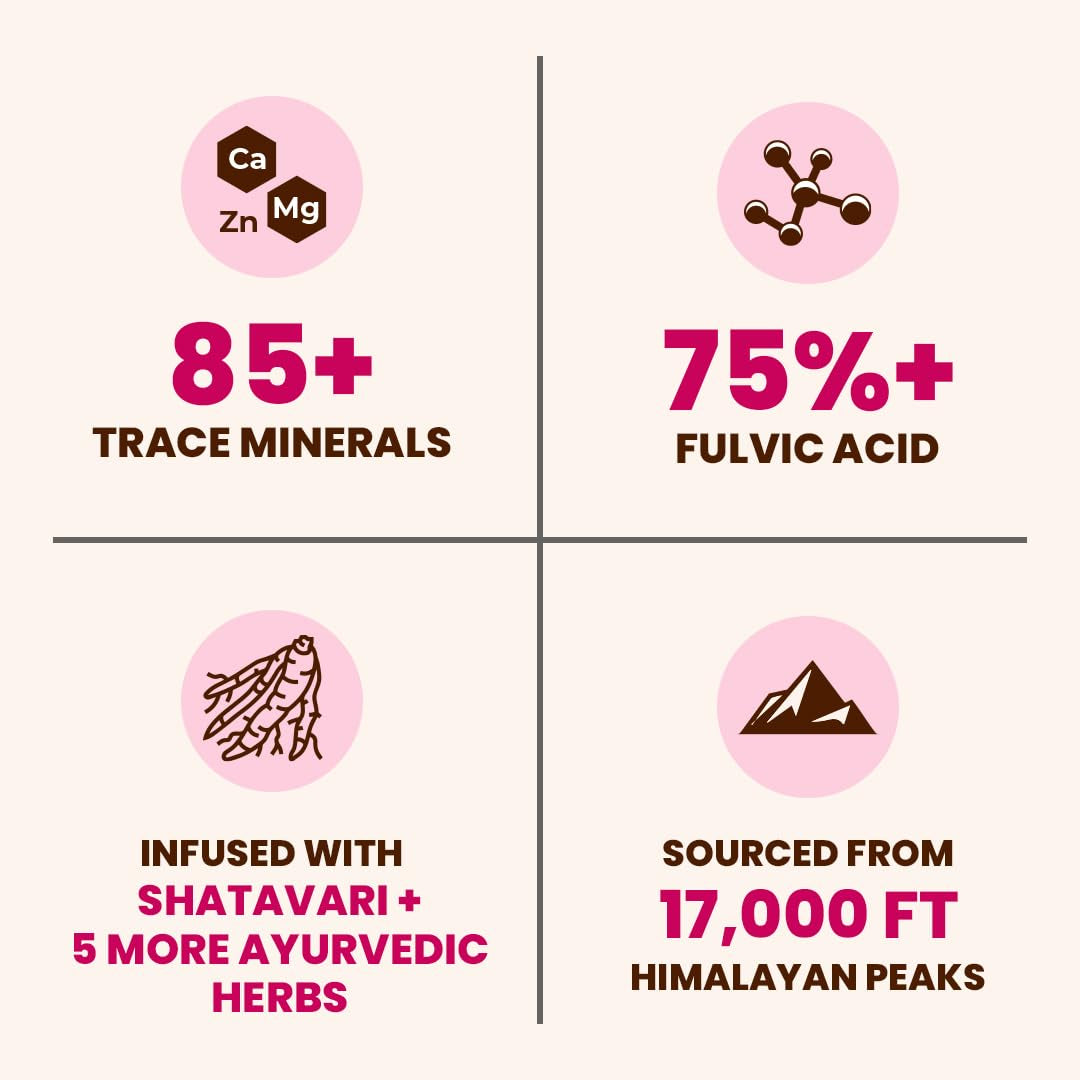 Shilajit Honey Sticks for Women, 12 Sticks – Hazelnut | 300 Mg Himalayan Shilajit Resin + Shatavari & 5 Ayurvedic Herbs | Lab Tested | Energy & Hormonal Balance Support